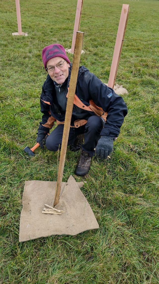 Planting trees