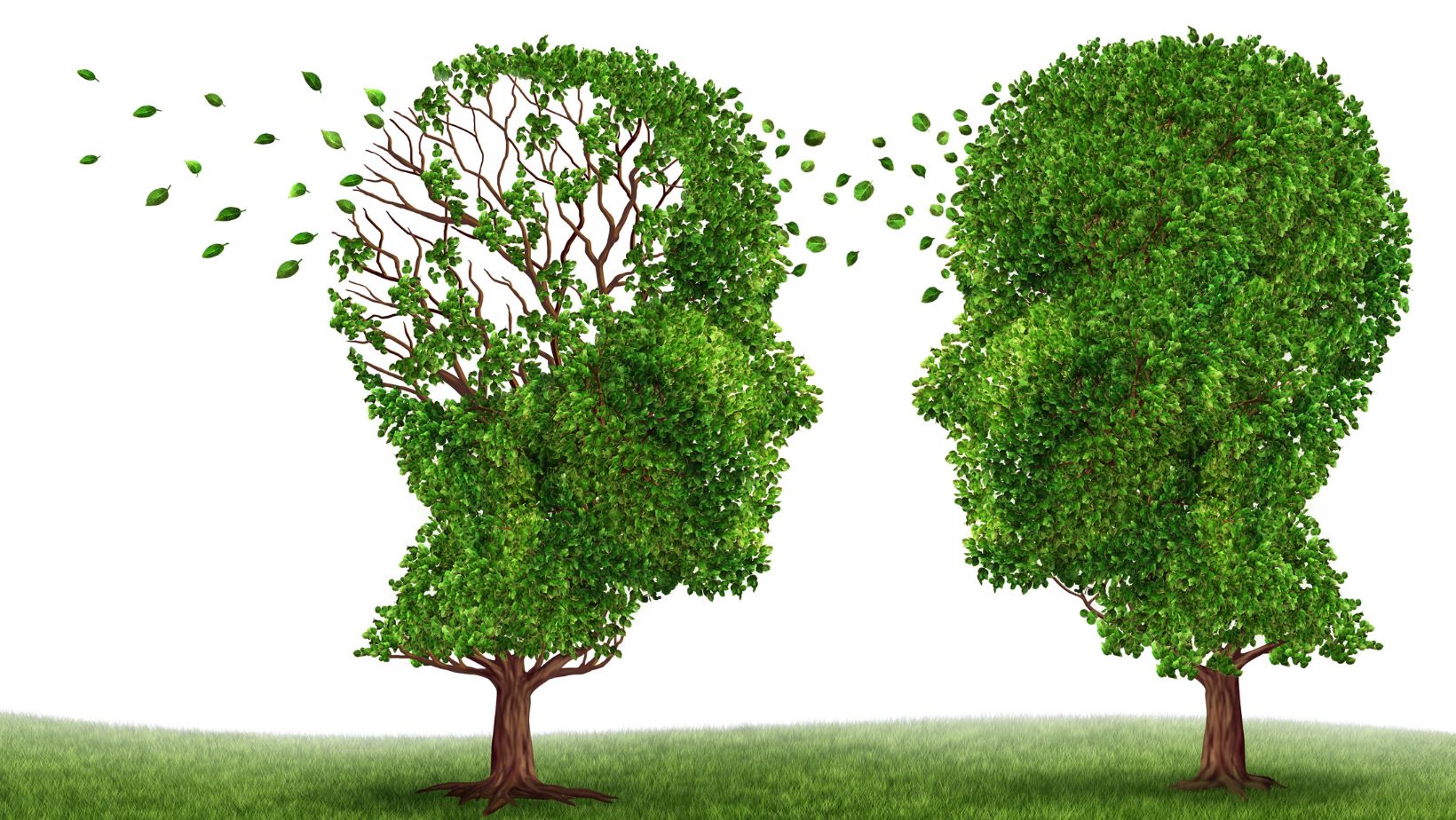 Shiatsu and Dementia