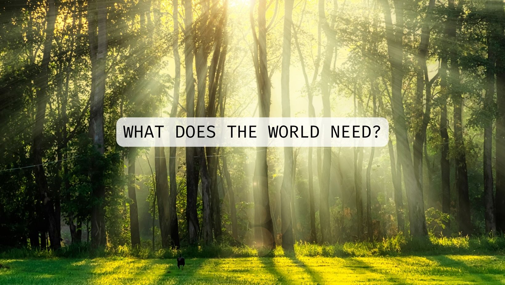 What does the world need?