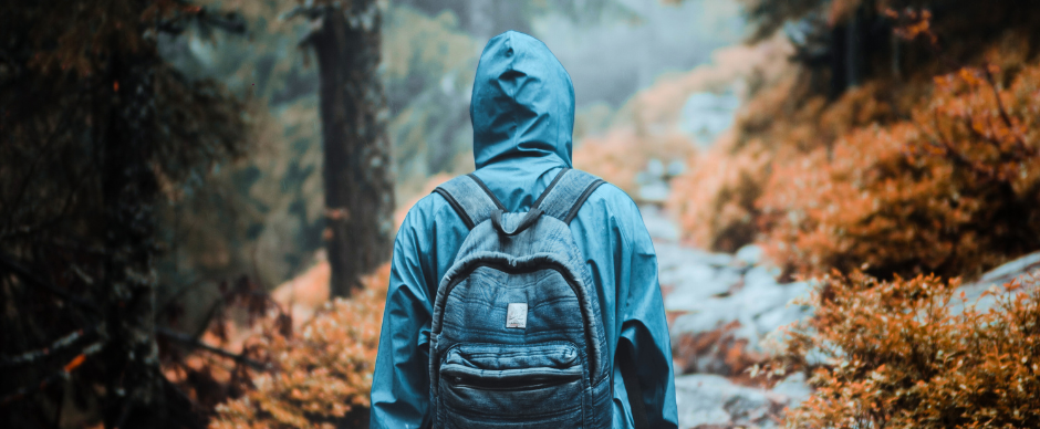 Water Element - our tips to find your balance | Shiatsu Society (UK)