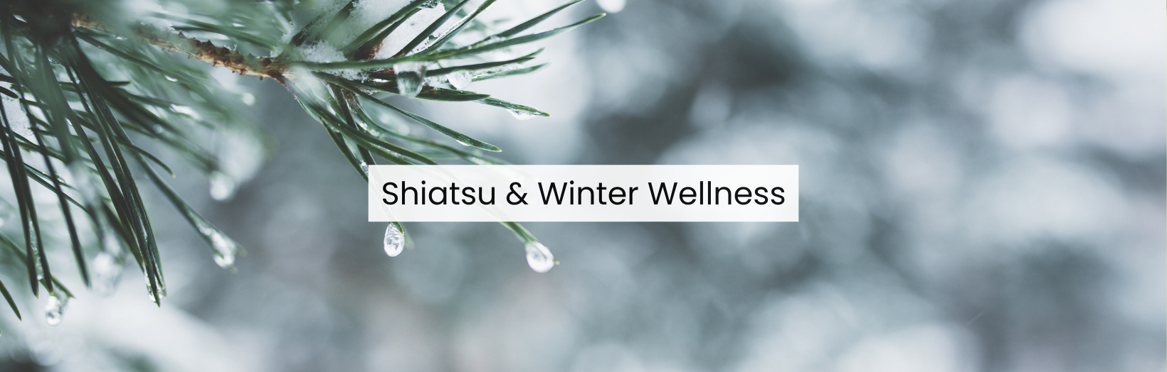 Winter wellness