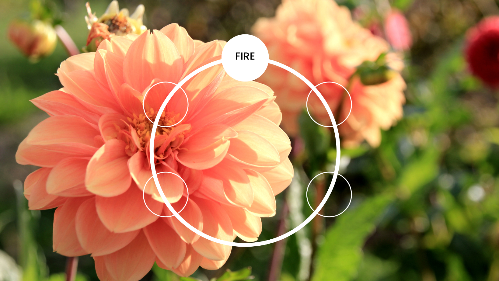 Fire overview