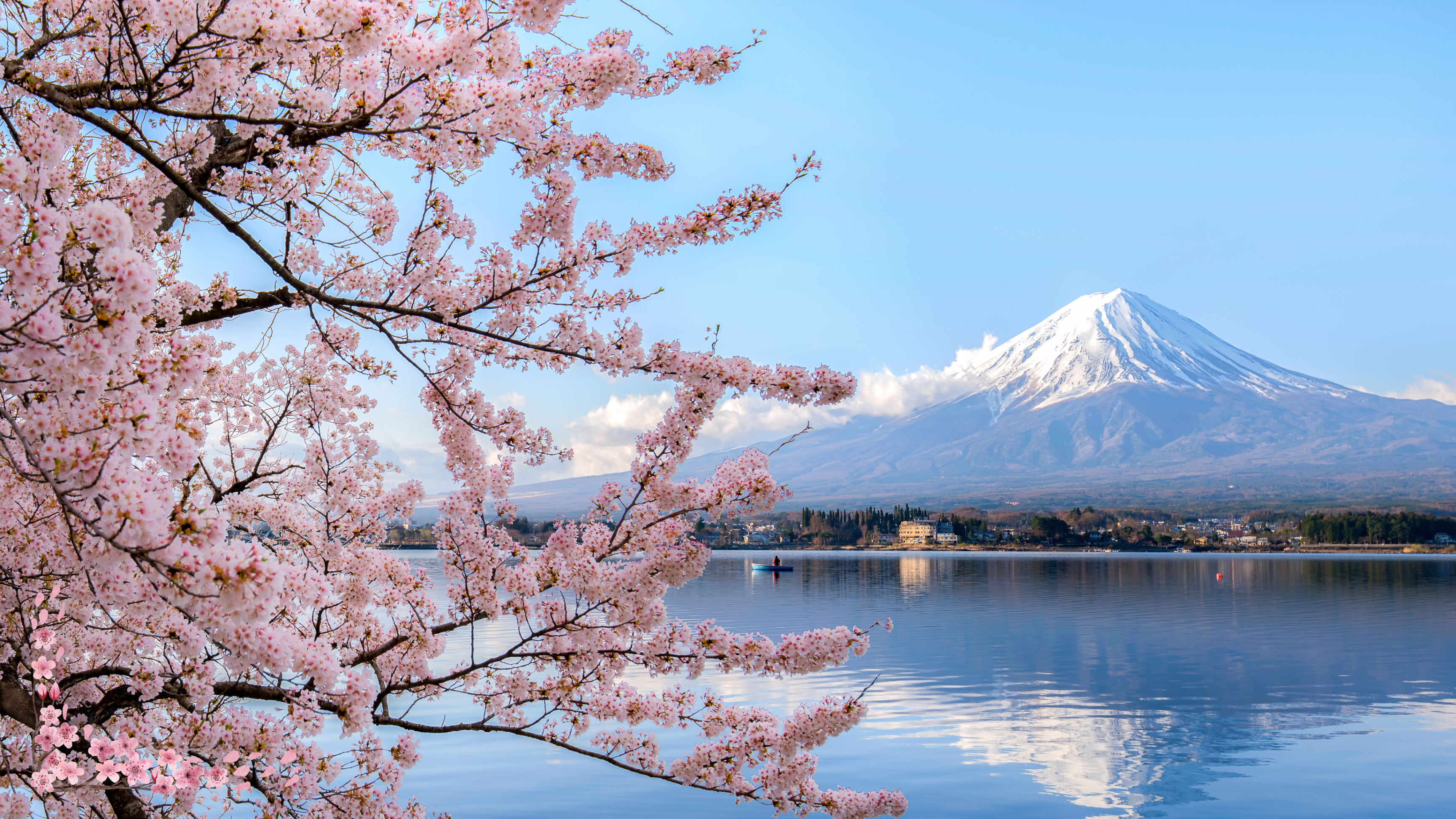 image: mount Fuji