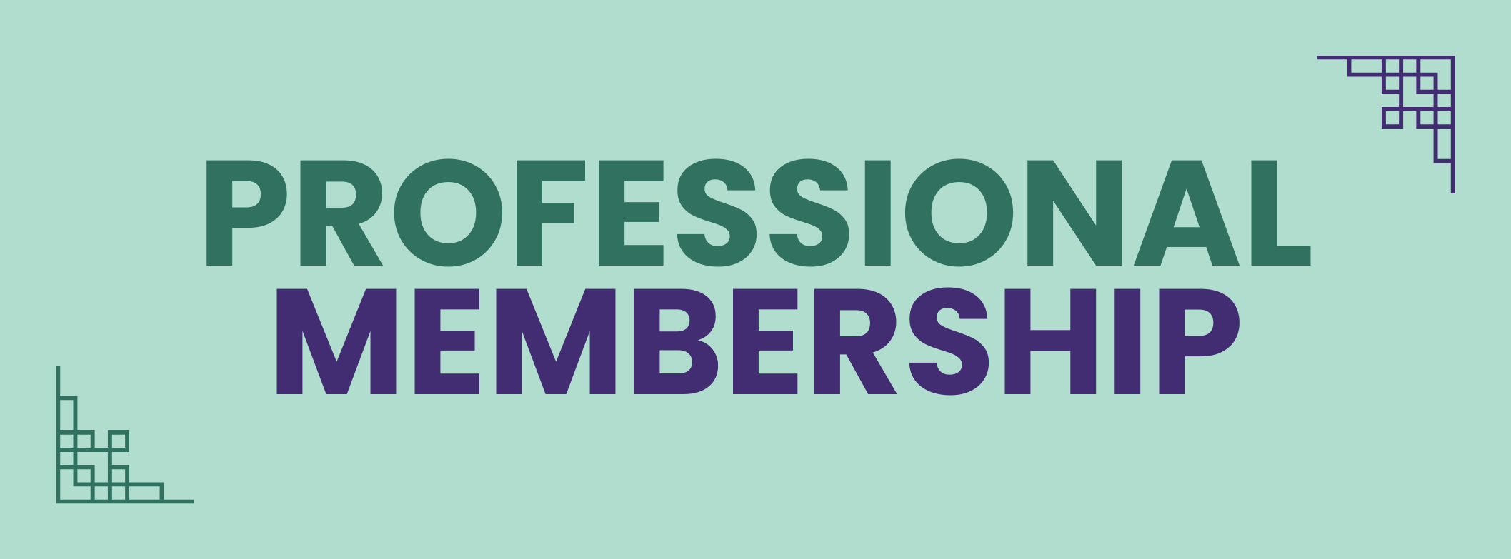 PROFESSIONAL MEMBERSHIP