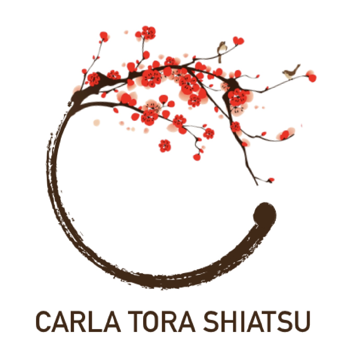 Carla Tora Shiatsu