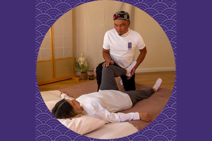 Learn Shiatsu - Want to know More?