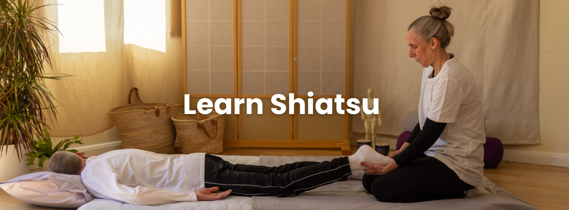 learn shiatsu