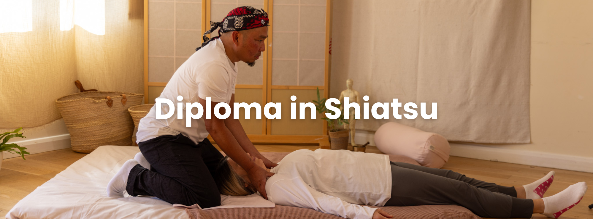 diploma in shiatsu