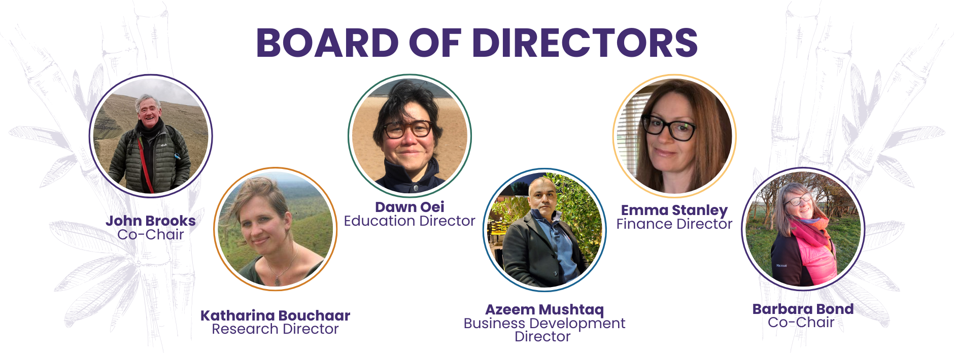 board of directors