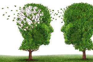 Dementia resource