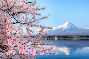 image: mount fuji