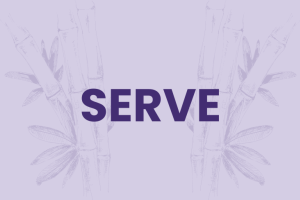 serve