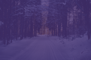 winter wellness 