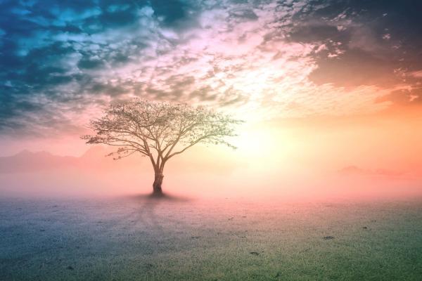 Childhood Wounds and the Extraordinary Vessels