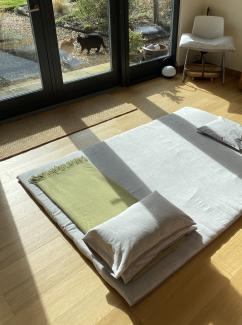 Inside Shiatsu studio space