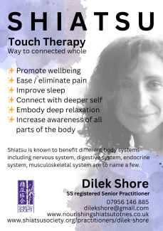 Dilek shore Flyer