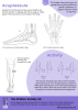 Shiatsu for Boosting Energy-p2