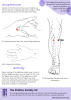 Shiatsu for Digestion