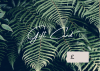 Voucher Design 8
