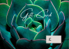 Voucher Design 7